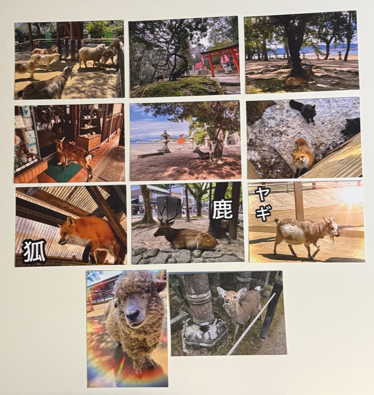 Animal’s of Japan Postcard Set