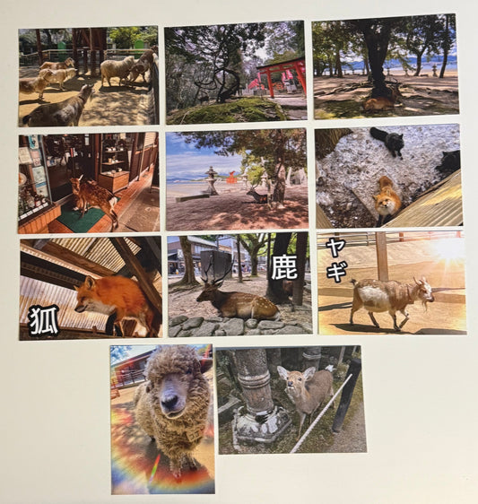 Animal’s of Japan Postcard Set