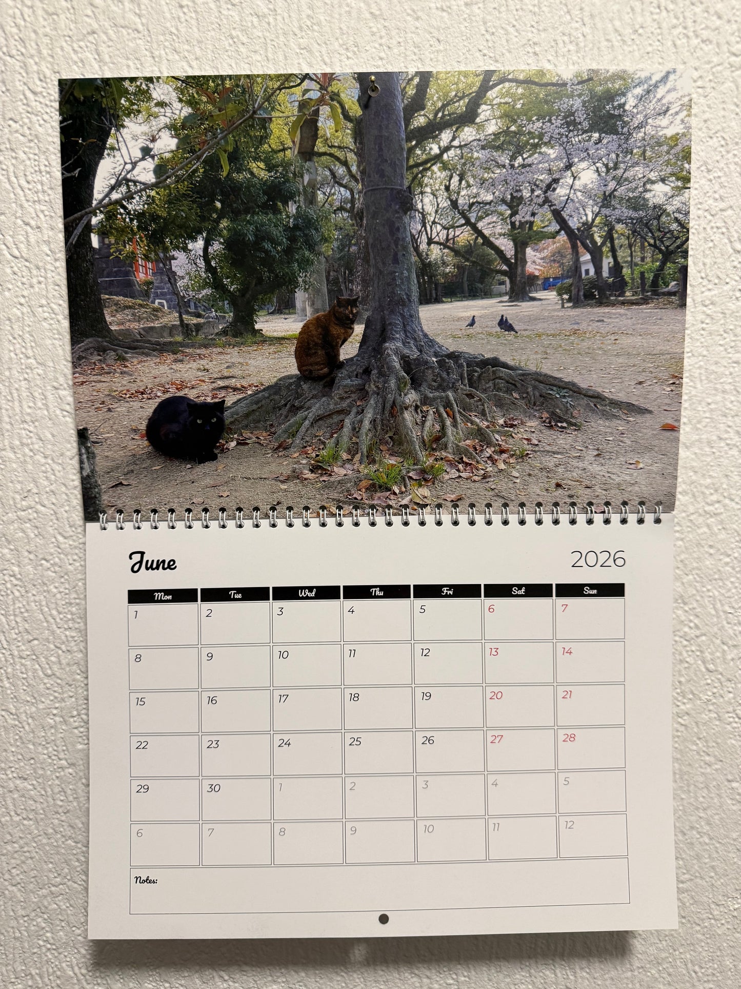 2026 Japan Photo Calendar