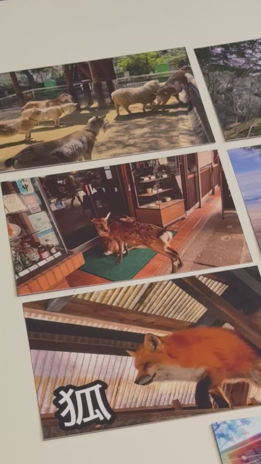 Animal’s of Japan Postcard Set